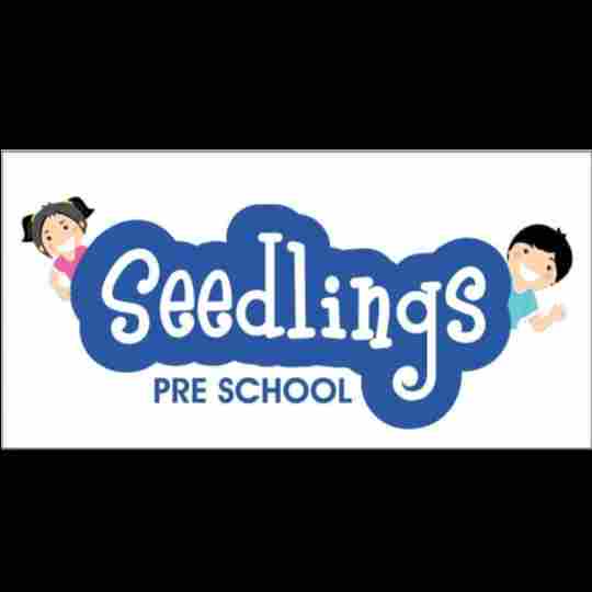 Seedlings Preschool Chikhali preschool logo