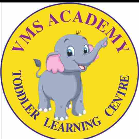 VMS Academy Toddler Learning Center preschool logo