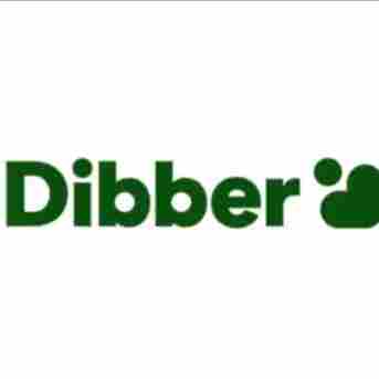 Dibber International Sector 50 preschool logo