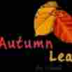 Autumn Leaves Akshaynagar preschool logo
