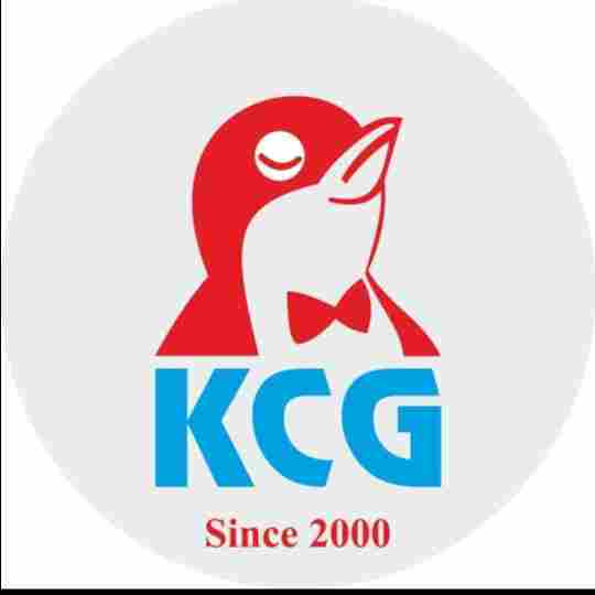 KCG Vesu - Preschool, Daycare and Activity Centre preschool logo