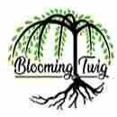 Blooming Twigs Preschool preschool logo