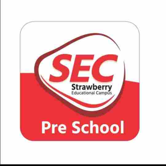 Strawberry Educational Campus, Lagad Mala preschool logo