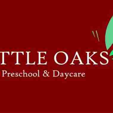 Little Oaks Whitefield preschool logo
