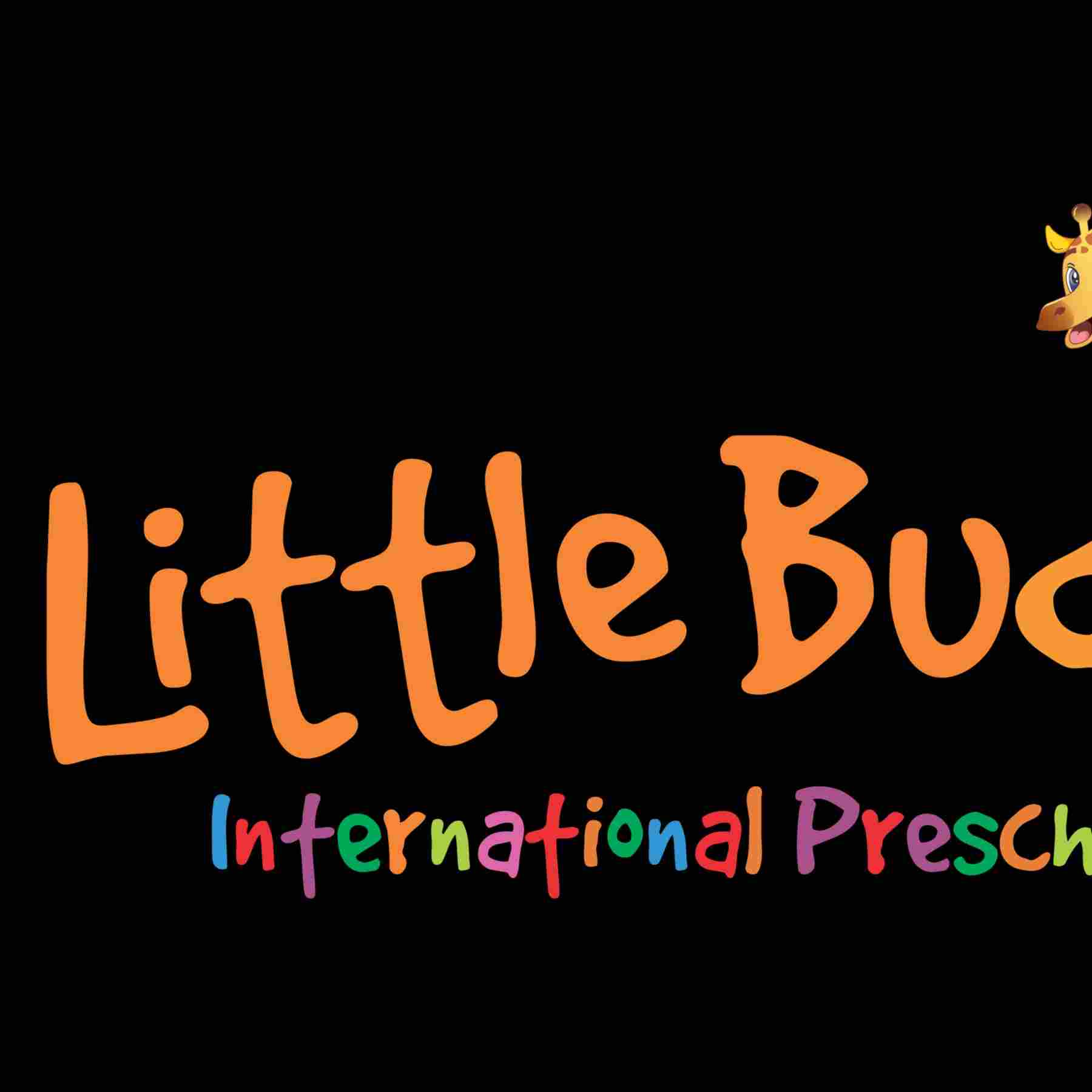 Little Buddy International Preschool preschool logo