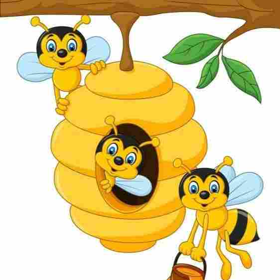 Beehivee - The Preschool preschool logo