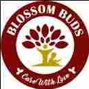 Blossom Buds Montessori and Preschool preschool logo