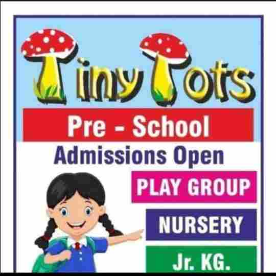Tiny Tots Nursery & Play Group preschool logo