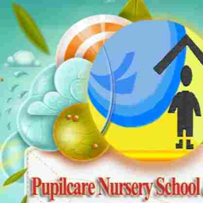 Pupilcare Sector 47 preschool logo
