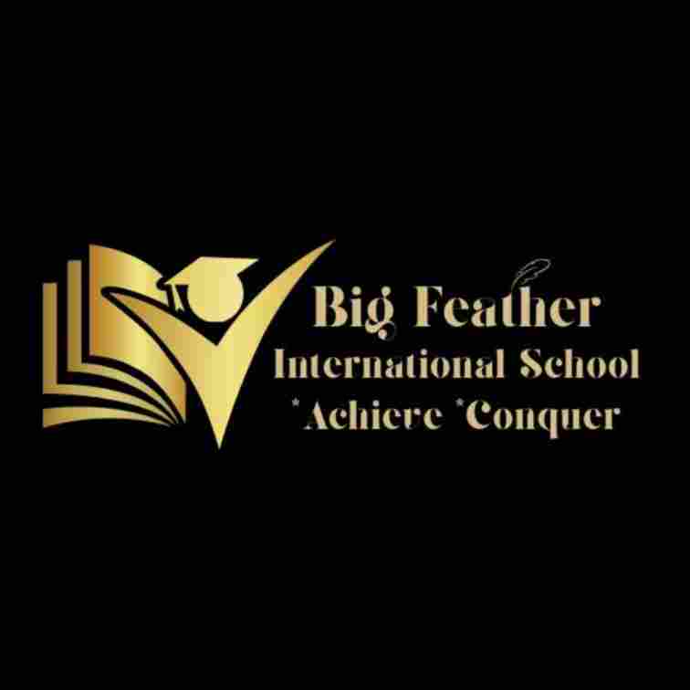 Big Feather Shalimar Bagh preschool logo