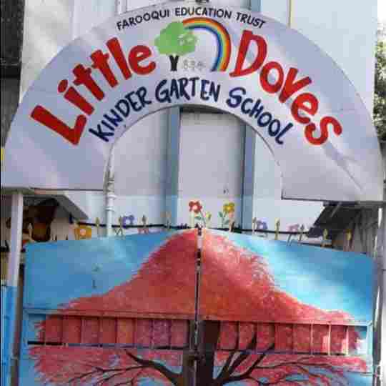 Little Doves Kindergarten School preschool logo