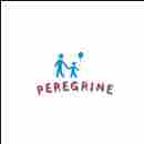 Peregrine Preschool Sector 78 preschool logo