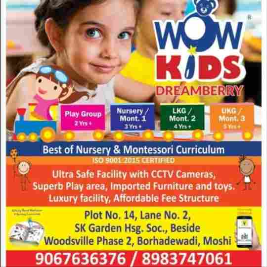 Wowkids Dreamberry preschool Moshi preschool logo