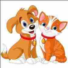 Buddies Preschool and Daycare preschool logo