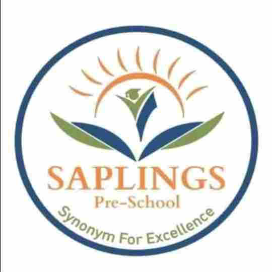 Saplings Preschool & Activity Center preschool logo