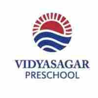 Vidyasagar Preschool preschool logo