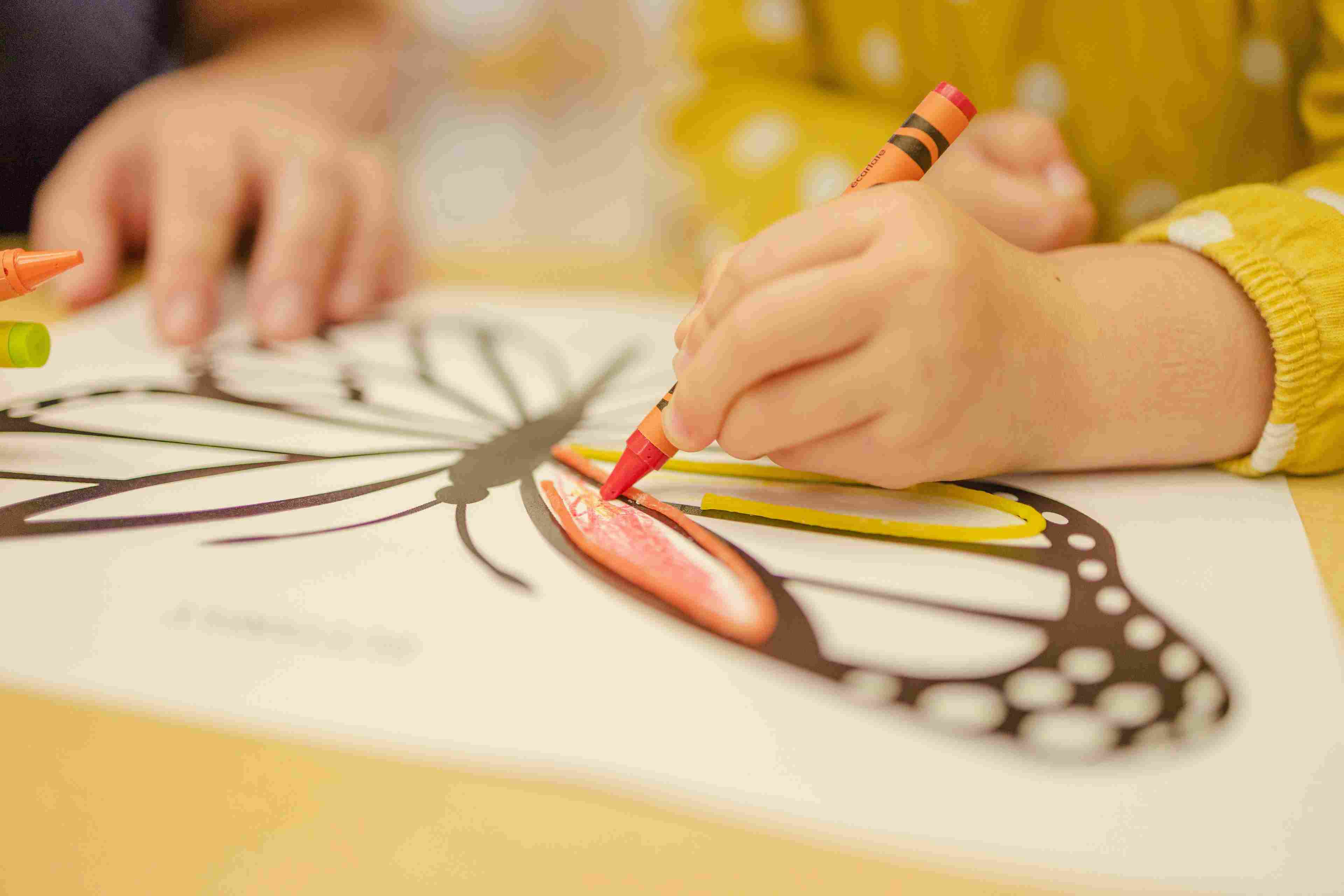 Diversity The Playschool preschool logo