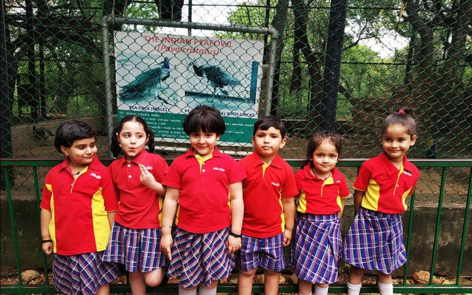 Hello Kids - Club preschool building in Ews Colony, Jammu