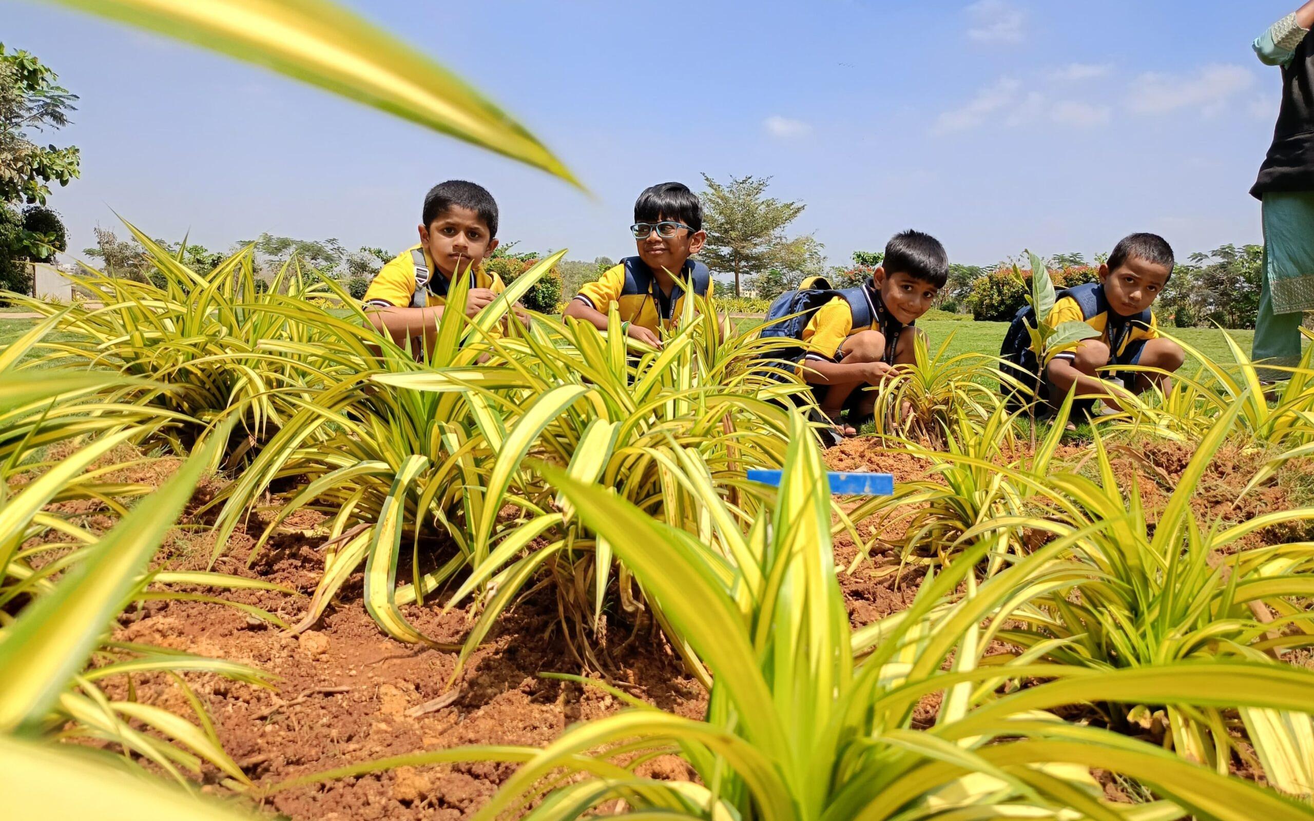 Wisdom Bees Preschool preschool building in Electronic City Phase 2, Bengaluru